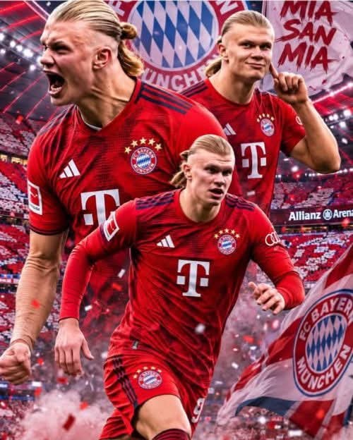 HAALAND ZUM FC BAYERN? SENSATIONELLER TRANSFER SOLL NÄHER RÜCKEN!